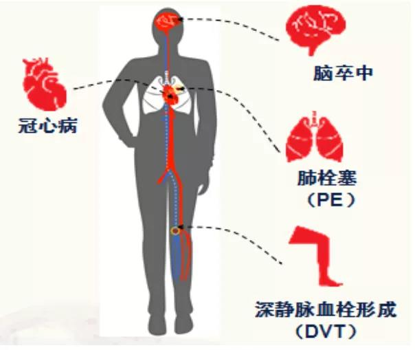 微信图片_20230106155444.png